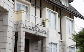 The Lynden Grove
